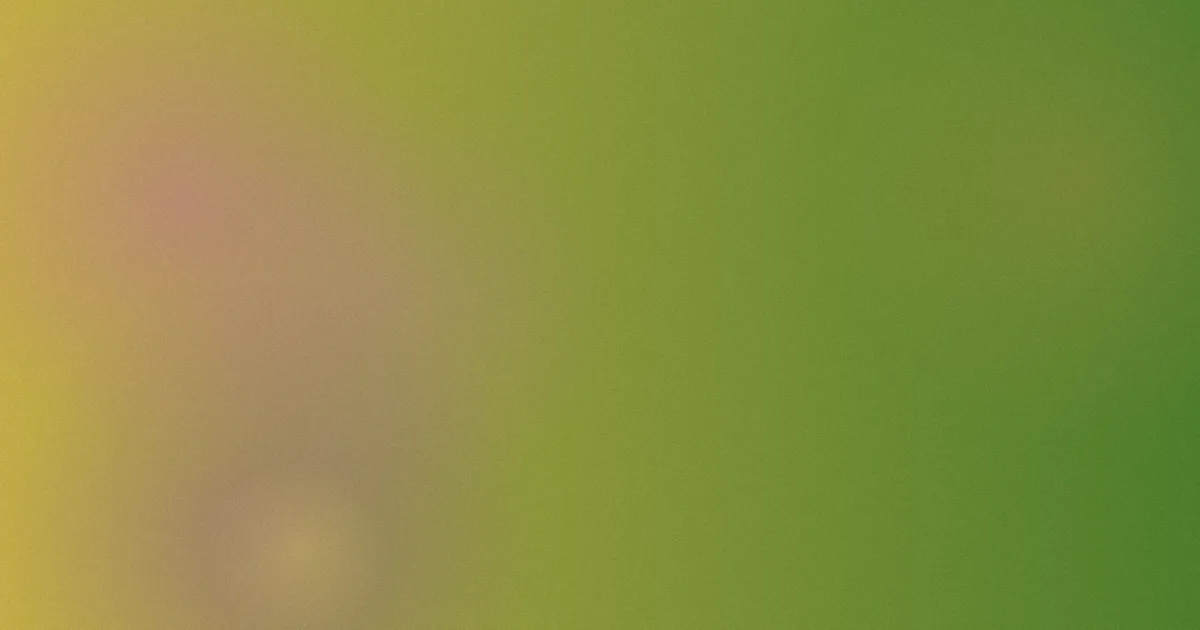 cartoon测评：避坑流程表
